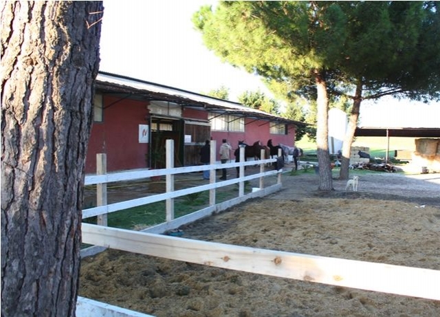  The stables 